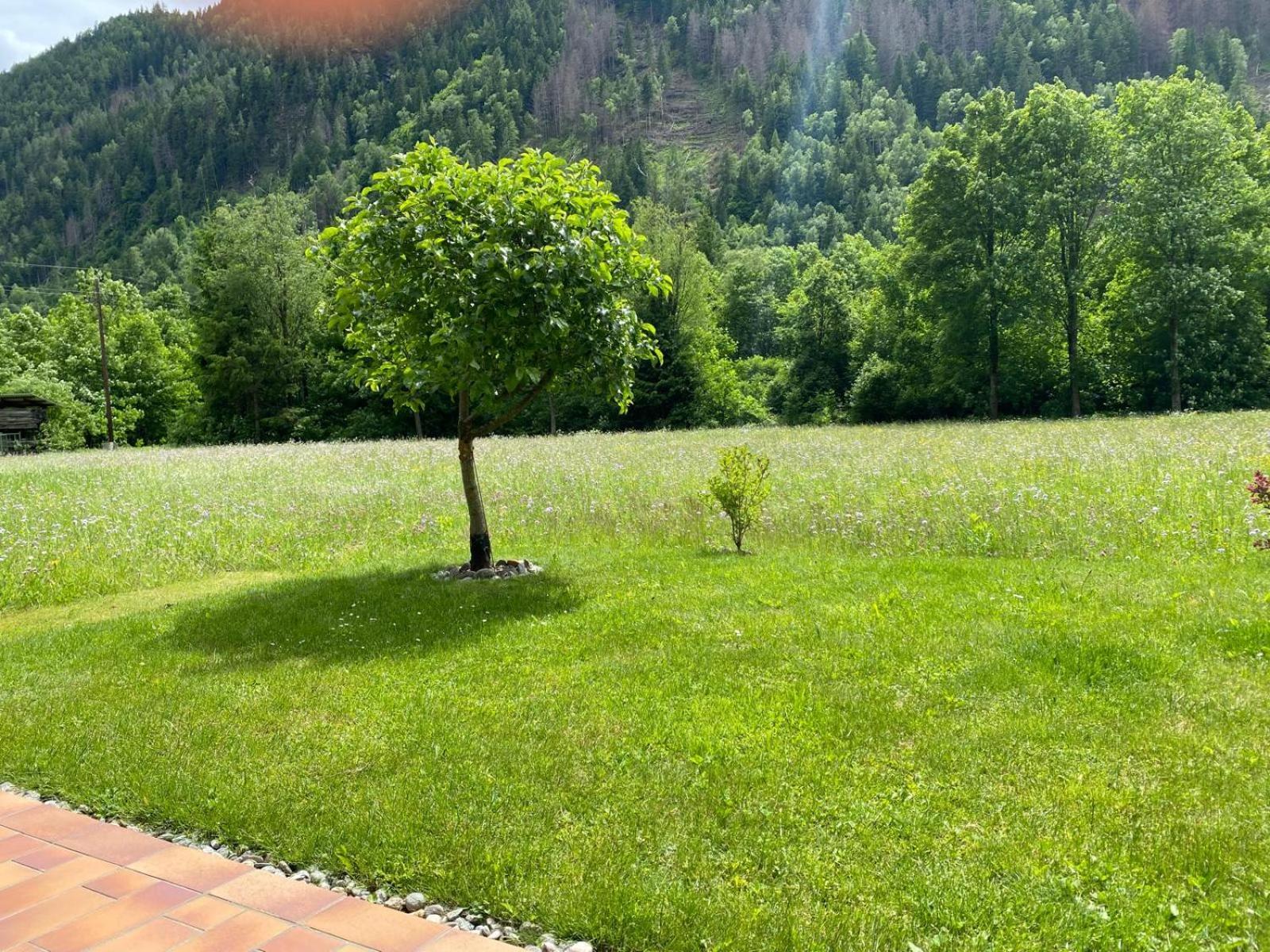 Appartement Dallavia Unterleibnig ภายนอก รูปภาพ